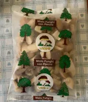 Misto funghi con porcini