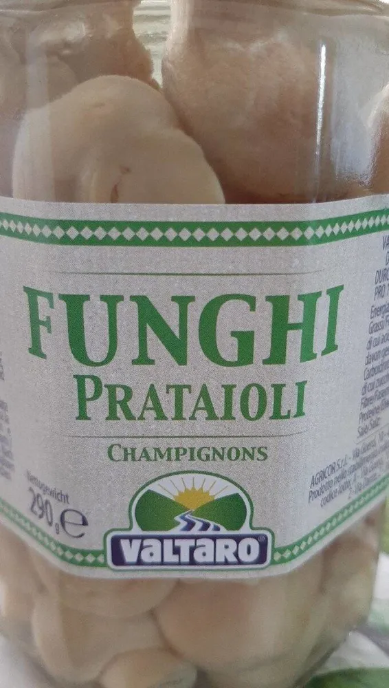 Funghi prataioli champignons