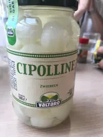 Cipolline