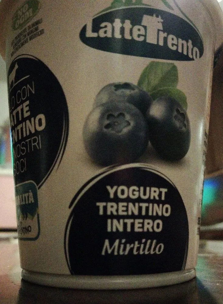 Yogurt Trentino Mirtillo