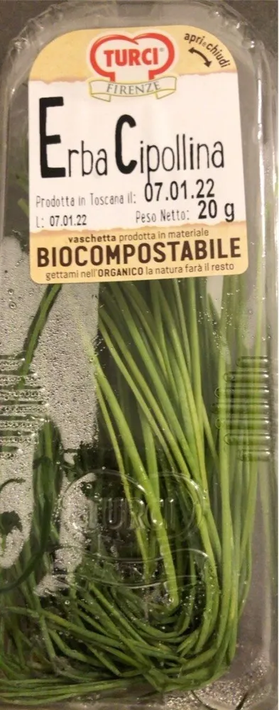 Erba cipollina