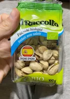 Pistacchi