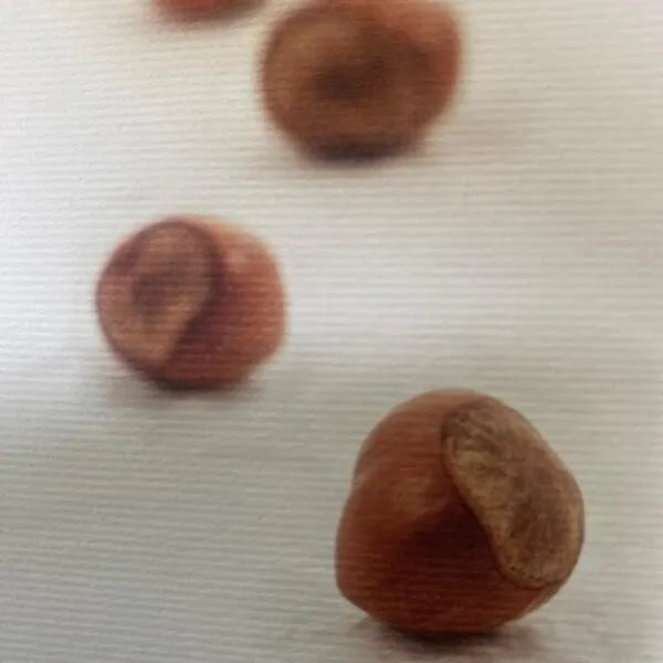 Nocciola Piemonte