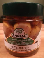 Lampascioni
