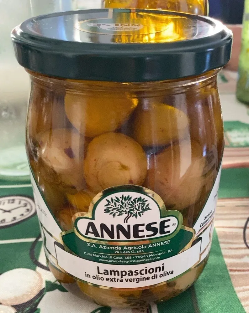 Lampascioni in olio EVO
