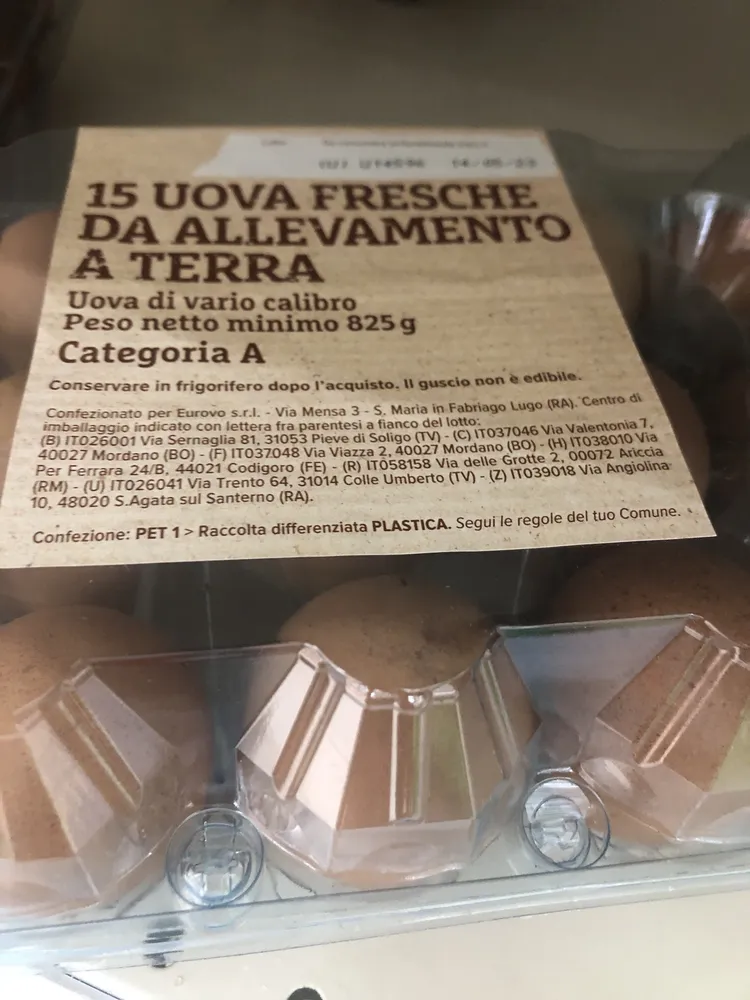 Uova a Terra n15