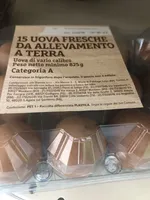 Uova a Terra n15