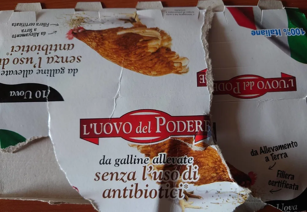 L'uovo del Podere