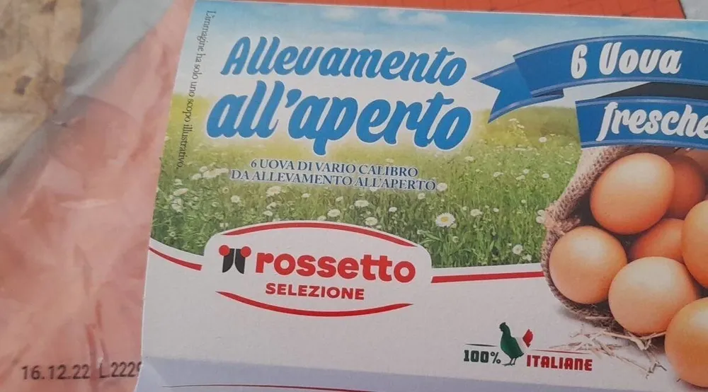 Allevamento all'aperto