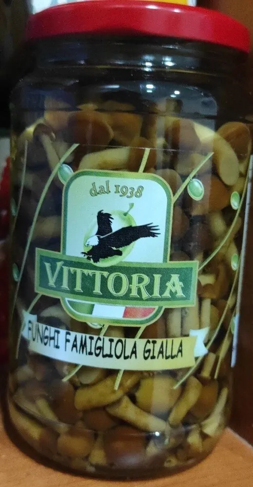 Funghi famigliola gialla