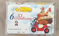 Xl grandissime