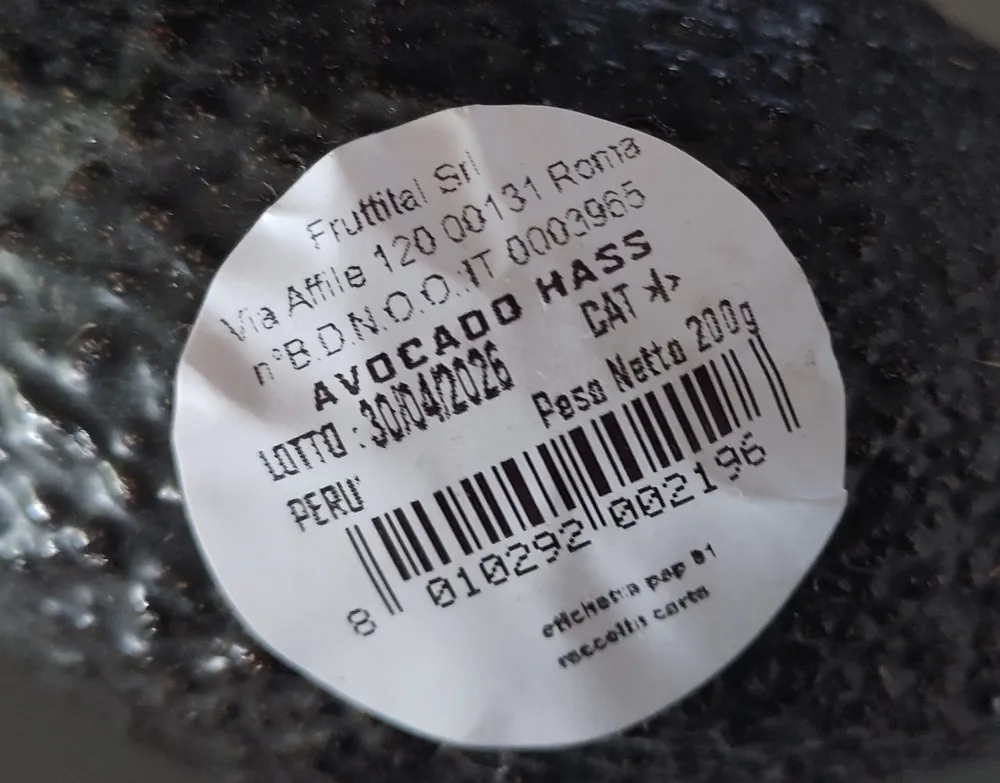Avocado