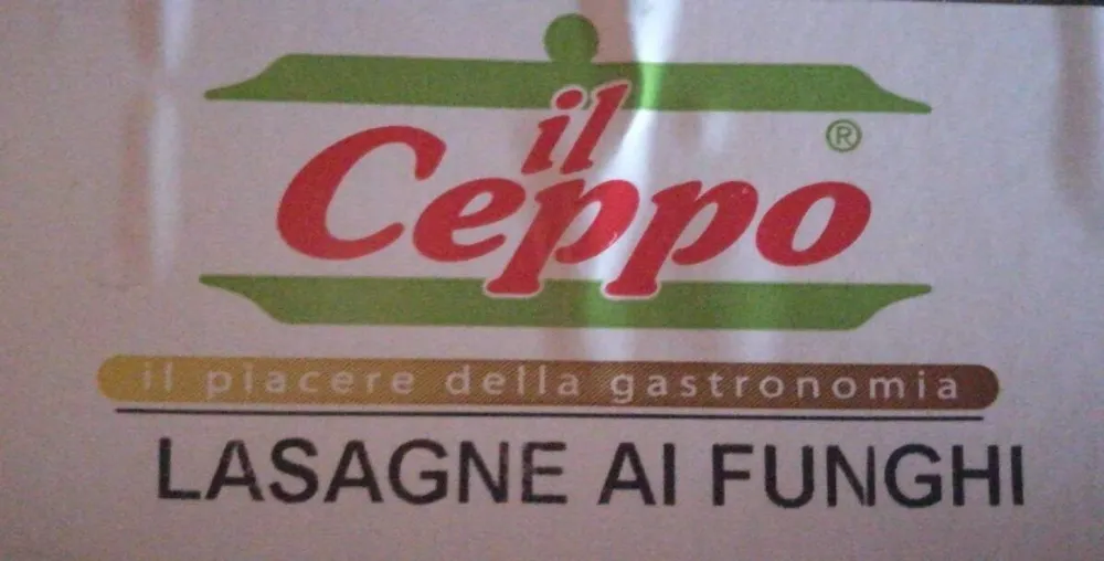 Ceppo lasagne ai funghi
