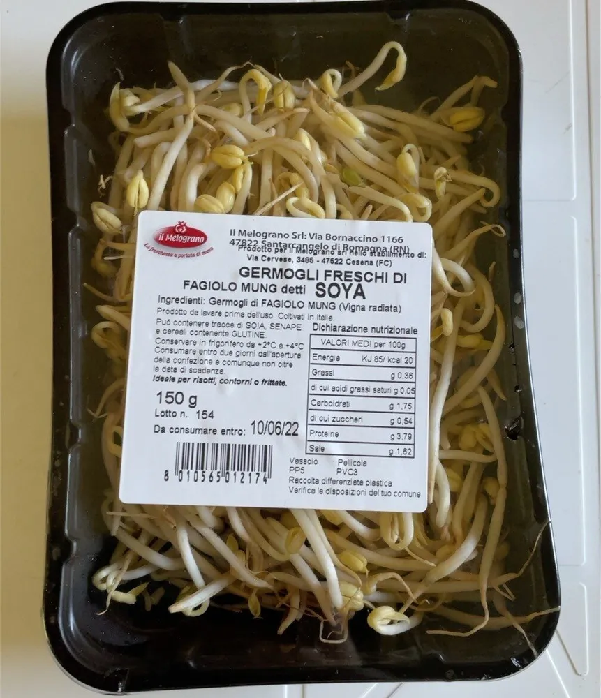 Germogli freschi di fagiolo mung detti soya