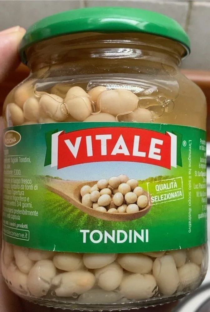 Tondini