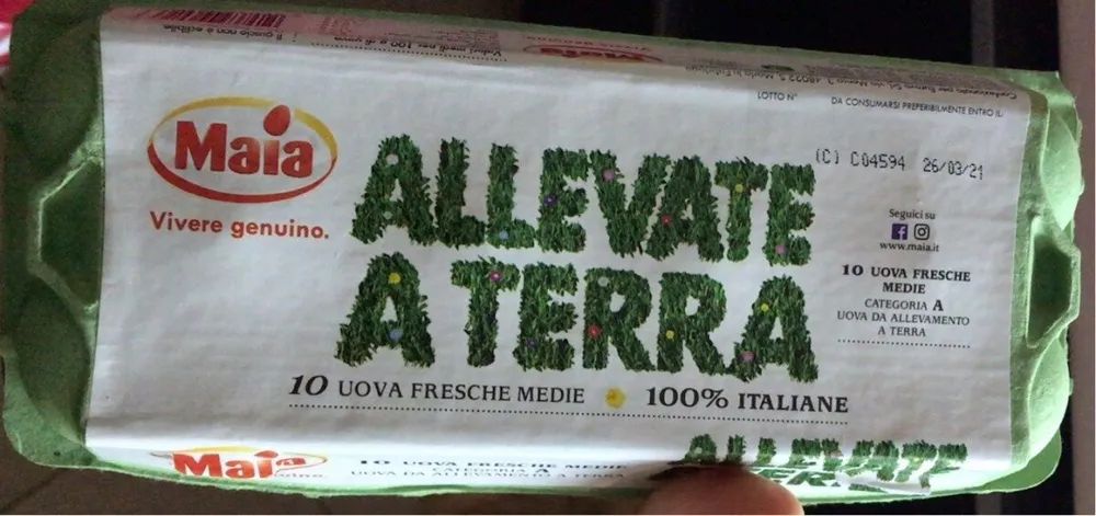 Uova allevate a terra