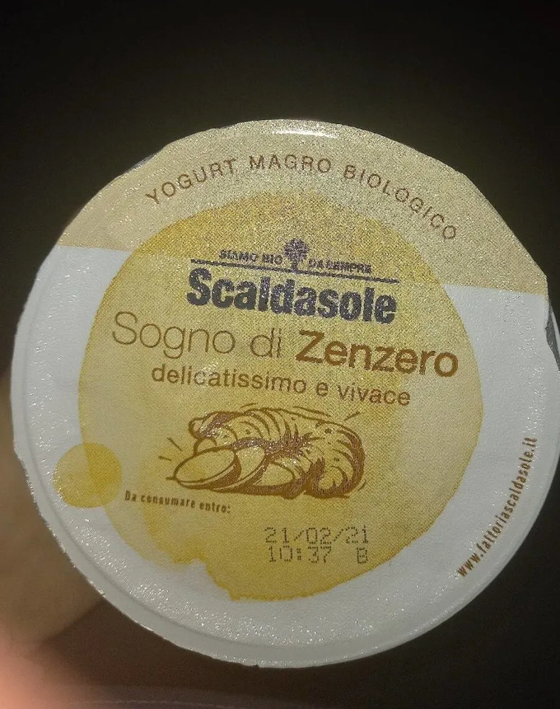 Sogno di zenzero