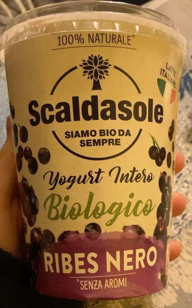 Yogurt Intero Biologico Ribes Neri