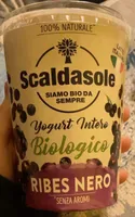 Yogurt Intero Biologico Ribes Neri