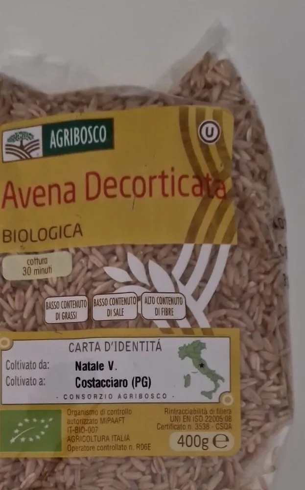 Avena decorticata
