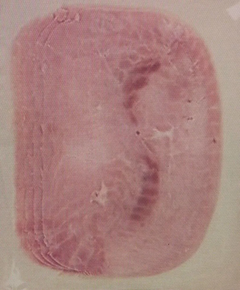Prosciutto cotto scelto