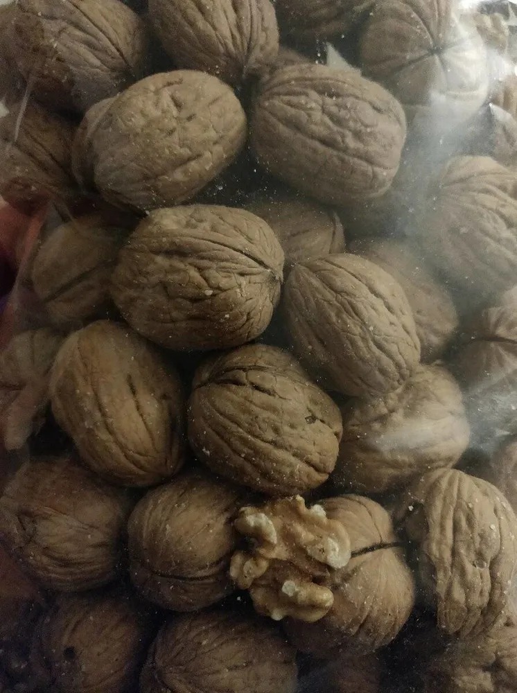 Noci in guscio