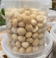 Noci Macadamia totate senza sale