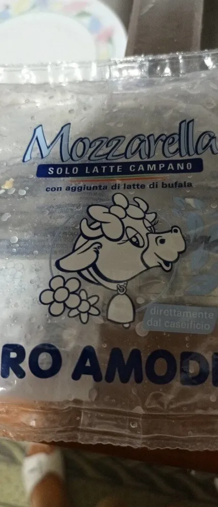 Mozzarella