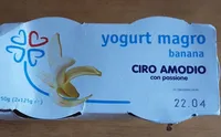Yogurt