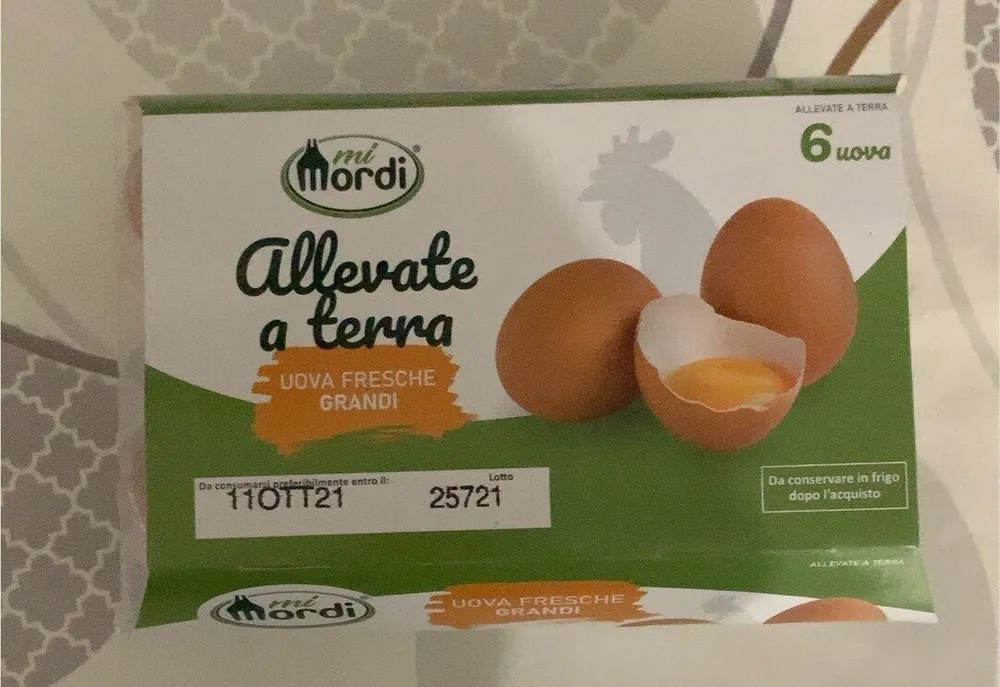 Uova fresche grandi
