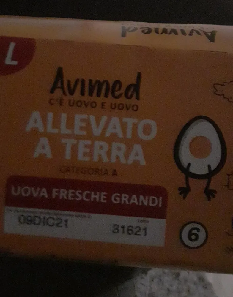 Uova fresche grandi