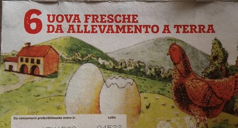 Uova fresche da allevamento a terra