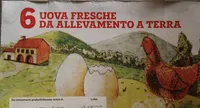 Uova fresche da allevamento a terra