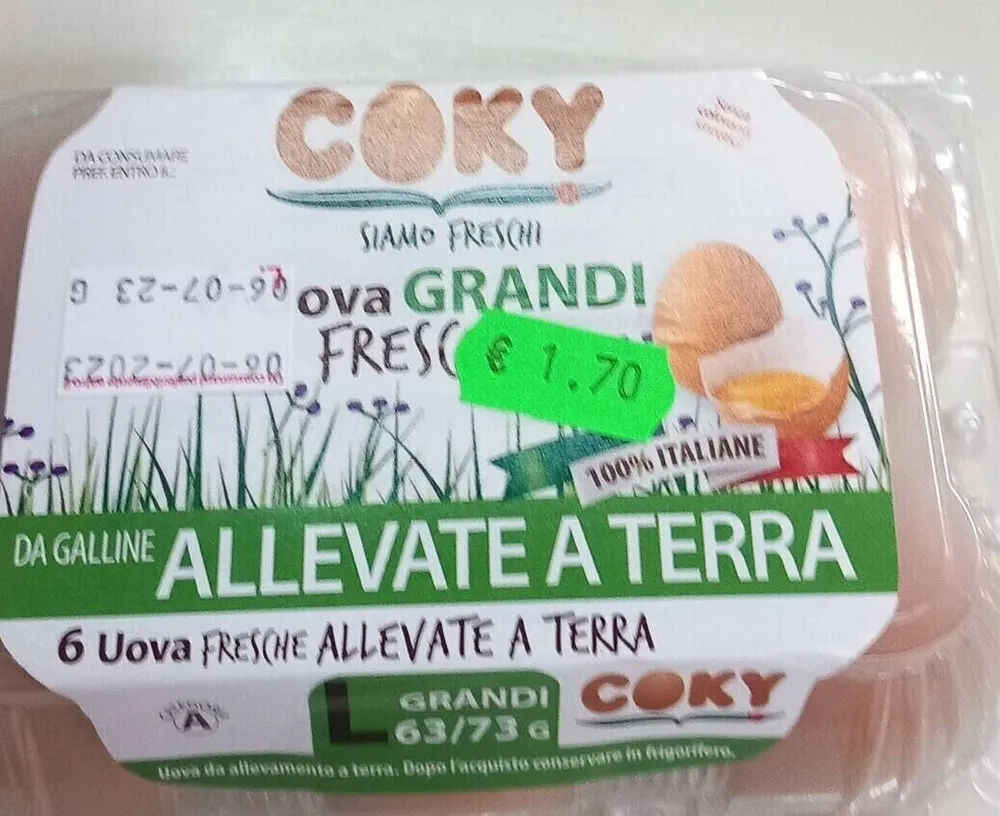 Uova