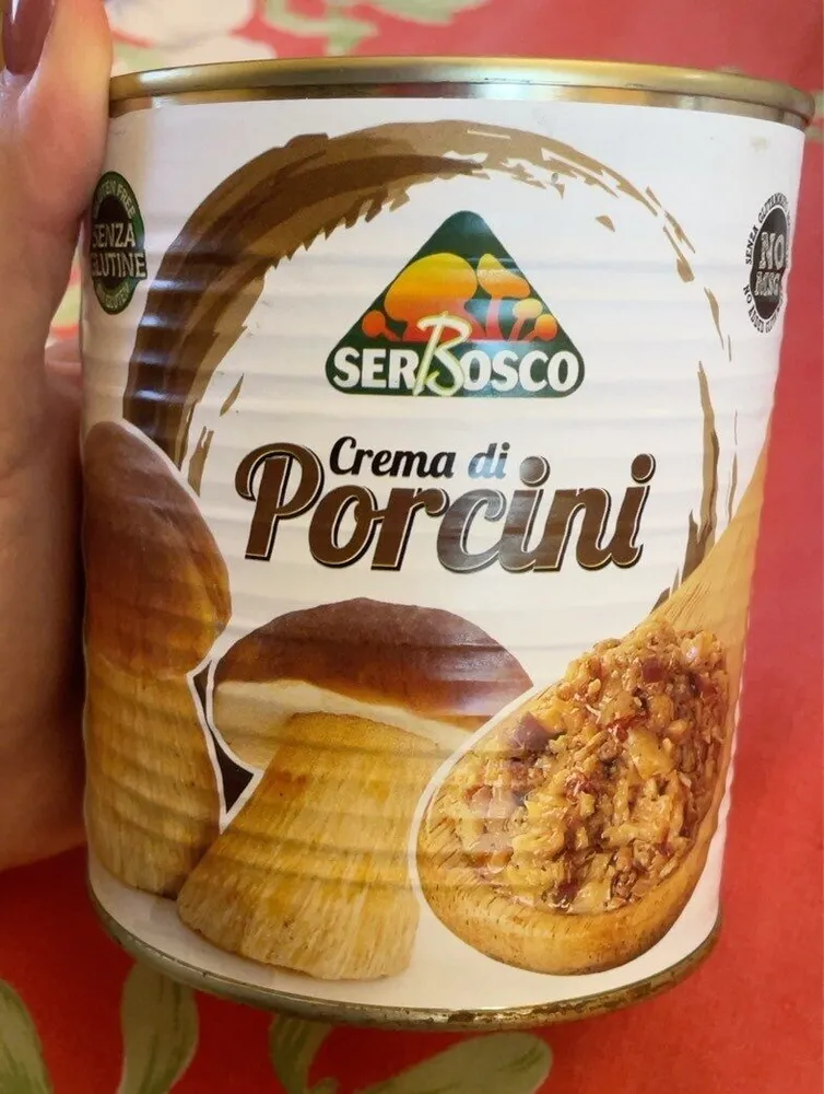Crema di porcini