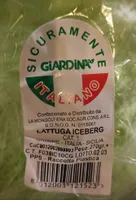 Lattuga Iceberg