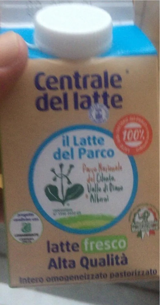 Latte