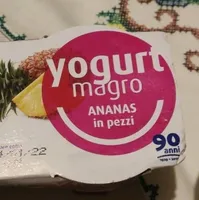 Yogurt centrale del latte