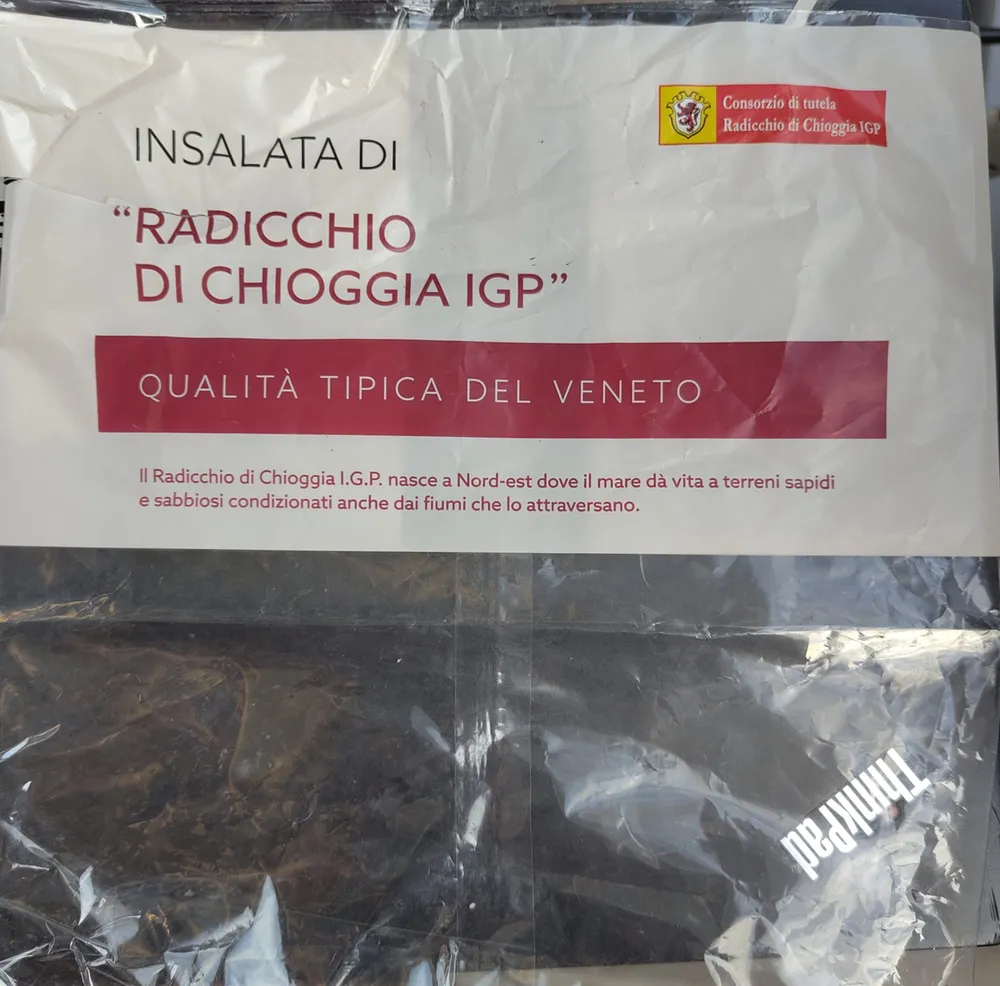 Insalata di radicchio di Chioggia IGP