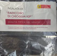 Insalata di radicchio di Chioggia IGP
