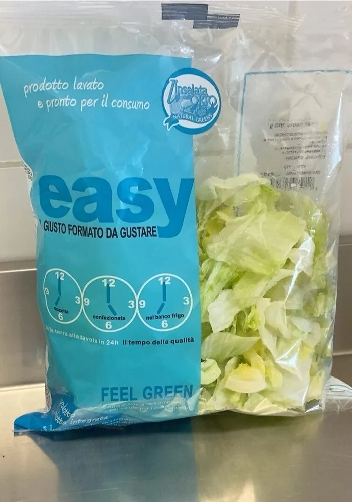 Lattuga iceberg