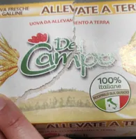 Uova