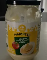 MAIONESE