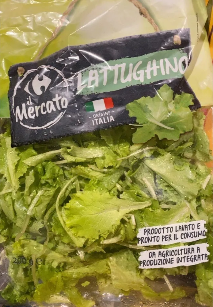 Lattughino