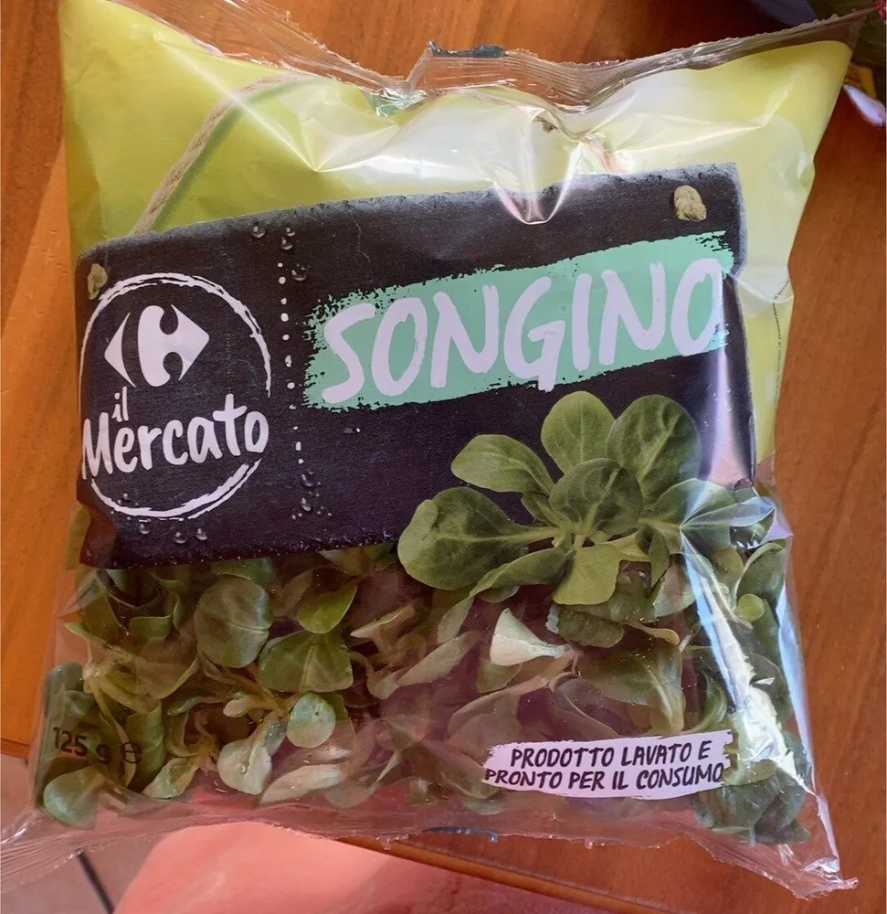 Songino
