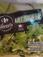 Lattughino