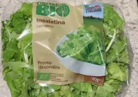 Lattughino