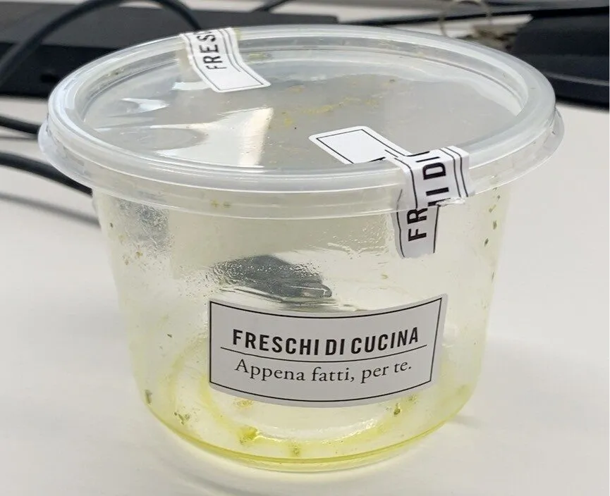 Insalata di farro, verdure e primo sale
