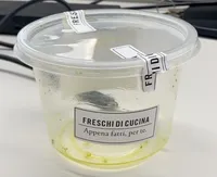 Insalata di farro, verdure e primo sale