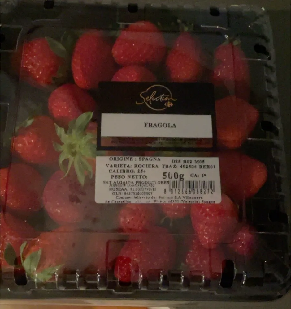 Fragole